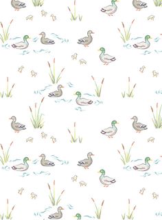 ducks and reeds in the water on a white background