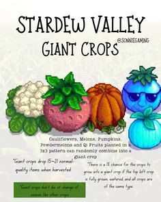 the front cover of stardew valley giant crops, featuring three pumpkins and cauliflower