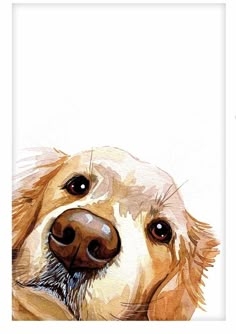 a watercolor painting of a golden retriever dog