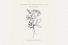 the cover art for november birth month flowers