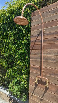 an outdoor shower head next to a wooden wall and shrubbery in the back yard