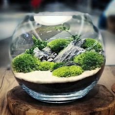 a fish bowl filled with moss and rocks on top of a wooden table next to a window