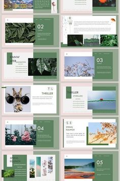 a bunch of green and white brochures with pictures on them, all in different colors