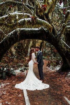 a bride and groom standing under a large tree in the middle of a snowy forest