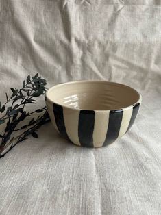 a black and white striped bowl next to a plant