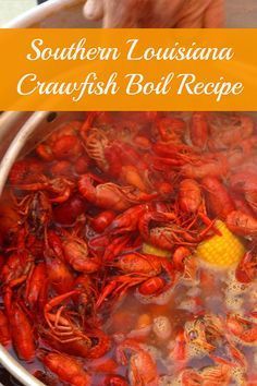 a pot full of cooked crawfish and corn on the cob with text overlay that reads southern louisiana crawfish boil recipe