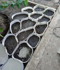 several buckets filled with dirt sitting on the ground next to some plants and leaves