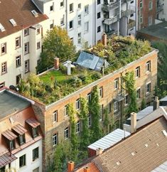 an aerial view of some buildings with plants growing on the roof