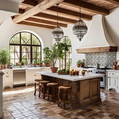 a kitchen with an island and potted plants