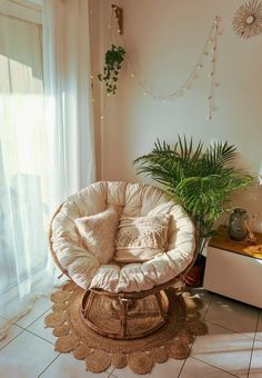 a living room filled with furniture and a potted plant