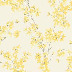 yellow flowers on a white background