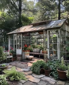 a small greenhouse with lots of potted plants and flowers in the front yard area