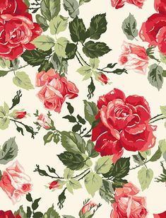 red roses on white background with green leaves and stems in the center, for wallpaper or upholstering