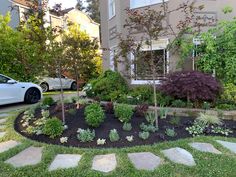 a car parked in front of a house next to a tree and shrubbery on the sidewalk