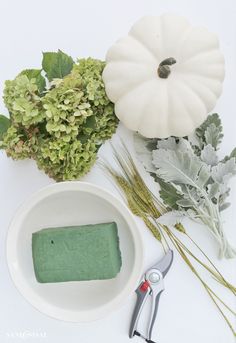 a white bowl with some green stuff in it next to plants and scissors on a table