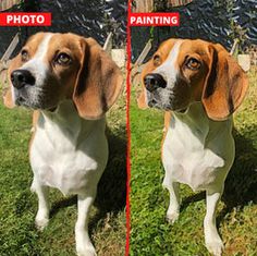 two pictures of a beagle dog before and after painting