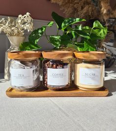 three jars filled with spices sitting on top of a wooden tray next to a potted plant