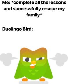 a green bird with the words, me complete all the lessons and successfully rescue my family