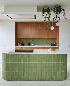 a kitchen with green tiles and wooden cabinets in the back wall, along with a plant hanging from the ceiling