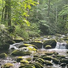 a stream running through a forest filled with lots of green mossy rocks and trees