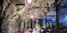 an outdoor dining area with tables and chairs covered in white branches, lit by lights