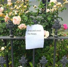 a sign that says stop and smell the roses on a fence with flowers in the background