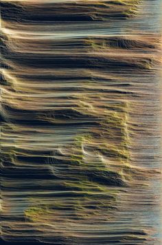 an abstract photograph of grass moving in the wind