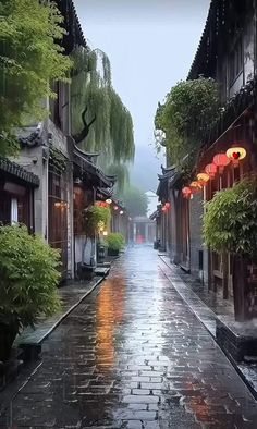 an empty street with umbrellas and potted plants on the sidewalk in the rain