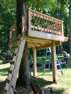 a tree house built into the side of a tree with a ladder up to it