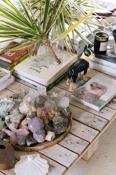 a wooden table topped with lots of different types of rocks and plants next to books