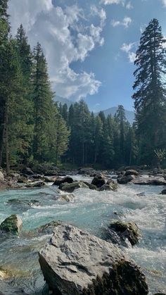 a river running through a forest filled with rocks and water surrounded by trees under a cloudy blue sky