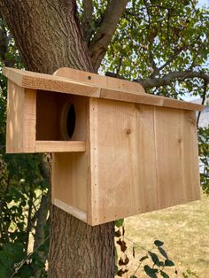 a bird house hanging from the side of a tree