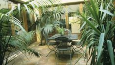 a table and chairs in a room with potted plants on the side walk way