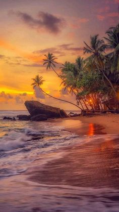 the sun is setting on an ocean beach with palm trees and rocks in the foreground