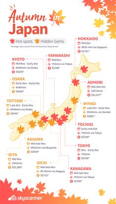 autumn in japan info sheet with maple leaves