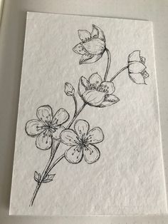 a drawing of some flowers on a piece of paper