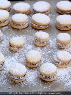 cookies and powdered sugar are arranged on a baking sheet