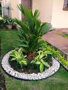 a small garden in the middle of a yard with grass and rocks around it,