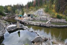 there is a small pond in the middle of this area with rocks and trees around it