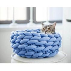 a cat sitting on top of a large blue rope pillow in front of a window