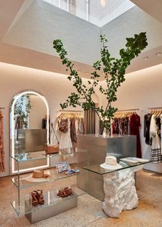 the inside of a clothing store with clothes on racks and trees in the window sill