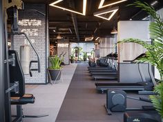 an indoor gym with treadmills and plants