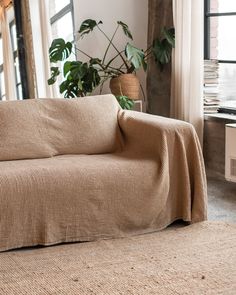 a living room with a couch covered in a blanket and potted plant next to the window