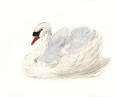 a drawing of a white swan with red beak