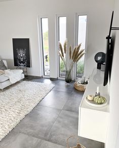 a living room filled with furniture and a white rug on top of a hard wood floor