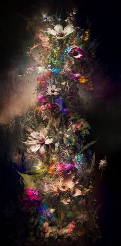 an artistic image of flowers in the dark with light coming from behind and on top