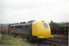 a yellow and black train traveling down tracks next to tall green grass on a cloudy day