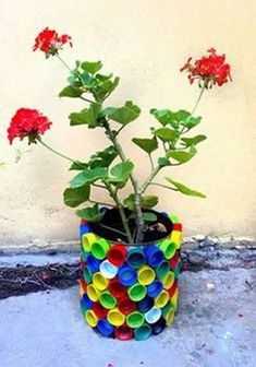 a potted plant with red flowers in it on the ground next to a wall