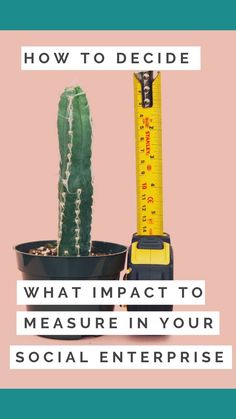 a cactus and measuring tape with the words, how to decide what impact to measure in your social enterprise