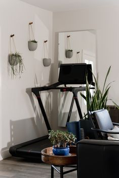 a living room filled with furniture and potted plants